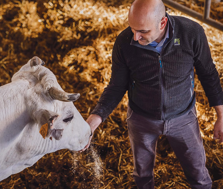 Bild Chianina-Fleisch