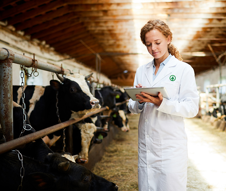 Immagine filiera certificata