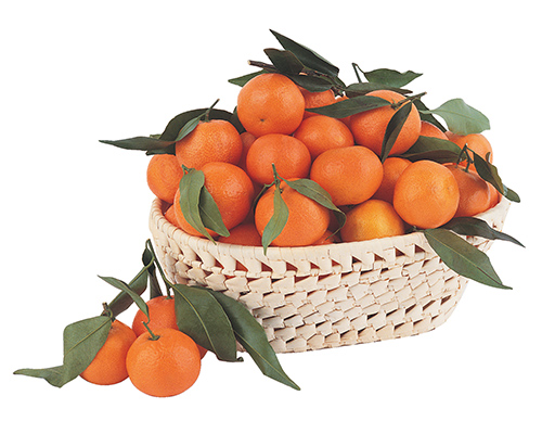 Mandarini Tango - Calabria