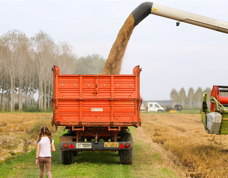 Azienda Agricola Fraccaroli