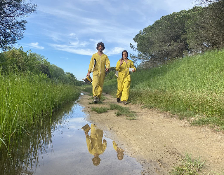 Andalenta