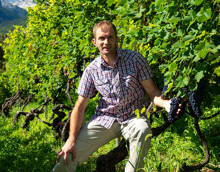 Az. Agricola El Zeremia