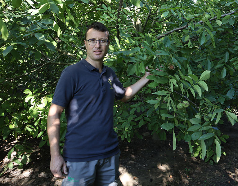 Azienda Agricola Valier