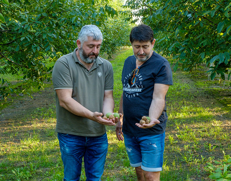 Soc. Agricola Ca Edda