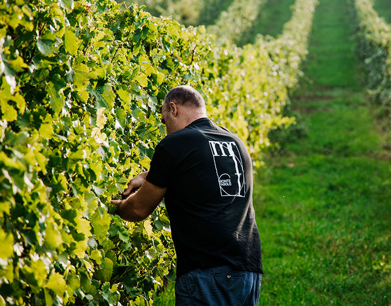 Cantina Monte Fasolo