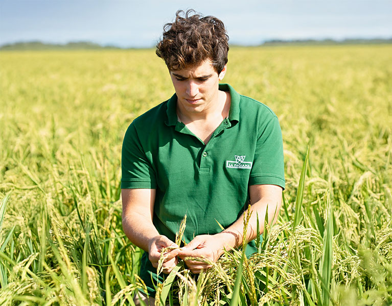 Società agricola La Fagiana