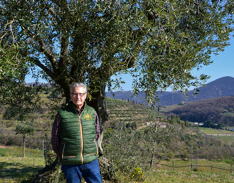 Frantoio Valnogaredo